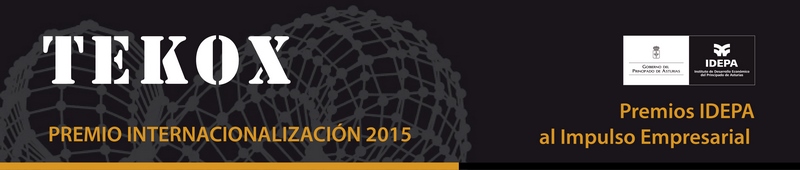 TEKOX recibe premio IDEPA Internacionalizacin al impulso  empresarial 2015