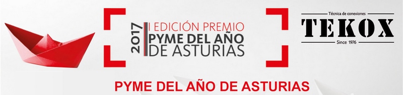 Tekox recibe el premio a la PYME del ao de Asturias 2017